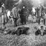 Medvevadászat gr. Andrássy Gyula betléri birtokán (1908 k.)